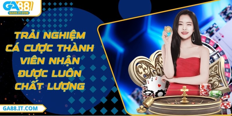 Trải nghiệm cá cược thành viên nhận được luôn chất lượng