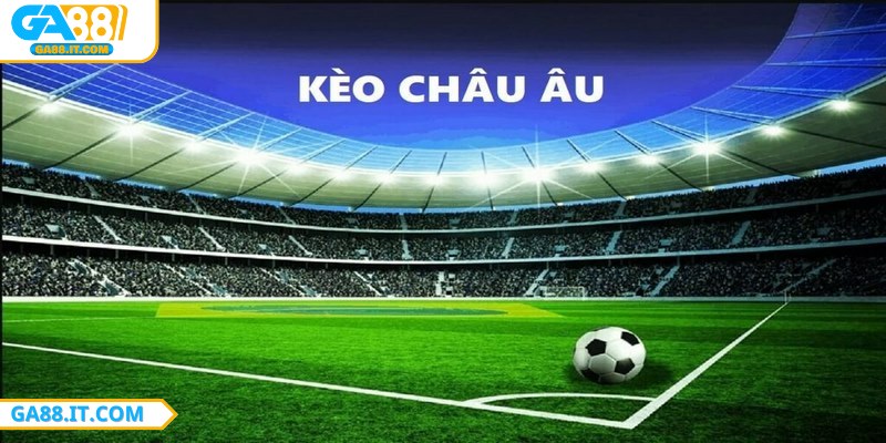 Người chơi không nên đánh cược theo cảm tính rất khó thắng